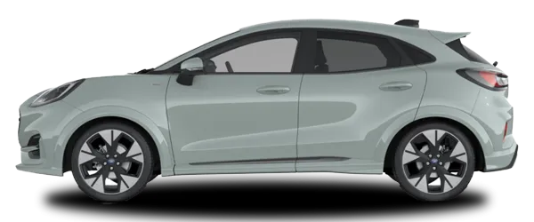 Ford Puma Kaktüs Gri Fabrika Çıkış Rengi