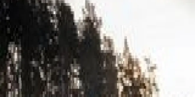 2021 Model Ford Ranger