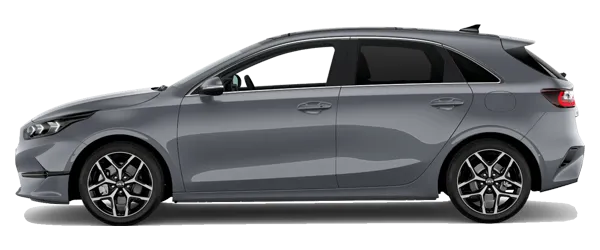 Kia Ceed Aytaşı Gri