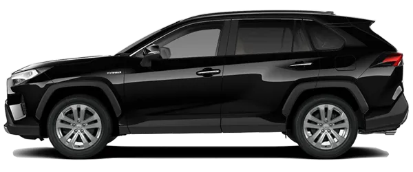 Toyota Rav4 İnci Siyah Fabrika Çıkış Rengi